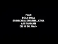 Dola Dola: Srinivas & Swarnalatha: A R Rahman: Dil Hi Dil Main: Hq Audio Flac: Hindi Song