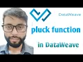 pluck function in DataWeave DataWeave 2 0 Mule 4