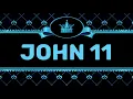 JOHN 11 NIV by Max McLean