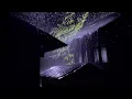 Soothing Rain and Thunder Sounds for Deep Sleep: Brown Noise 12 Hour Challenge