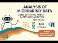 Class 3D Microarray Data Analysis in R Functional Enrichment Analysis ORA GSEA