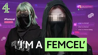 The rise of femcels myth or misunderstood