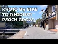 Kyoto Before the Pink Blue Skies Mochi and Peach Blossoms by Bike 03 11 2026