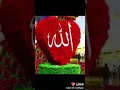 Download Lagu subhanallah 😘 ya Allah ampunilah dosa hamba mu ini tak pernah lepas dari dosa😞😞