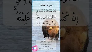 وإذ قال الله يا عيسى ابن مريم أأنت قلت للناس اتخذوني وأمي إلهين من دون الله سورة المائدة 