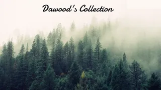 jamal ul wujudi the beauty of existence no music nasheed dawoods collection