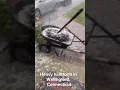 Heavy hailstorm in Wallingford Connecticut