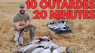 Download Chasse de fou à l'outarde! Limite en 20 minutes! Chasse, cuisine, manger MP3