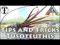 Fast Tusoteuthis Taming Guide Ark Survival Evolved Tips and Tricks