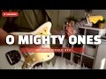 O Mighty Ones Tone King Imperial MKII
