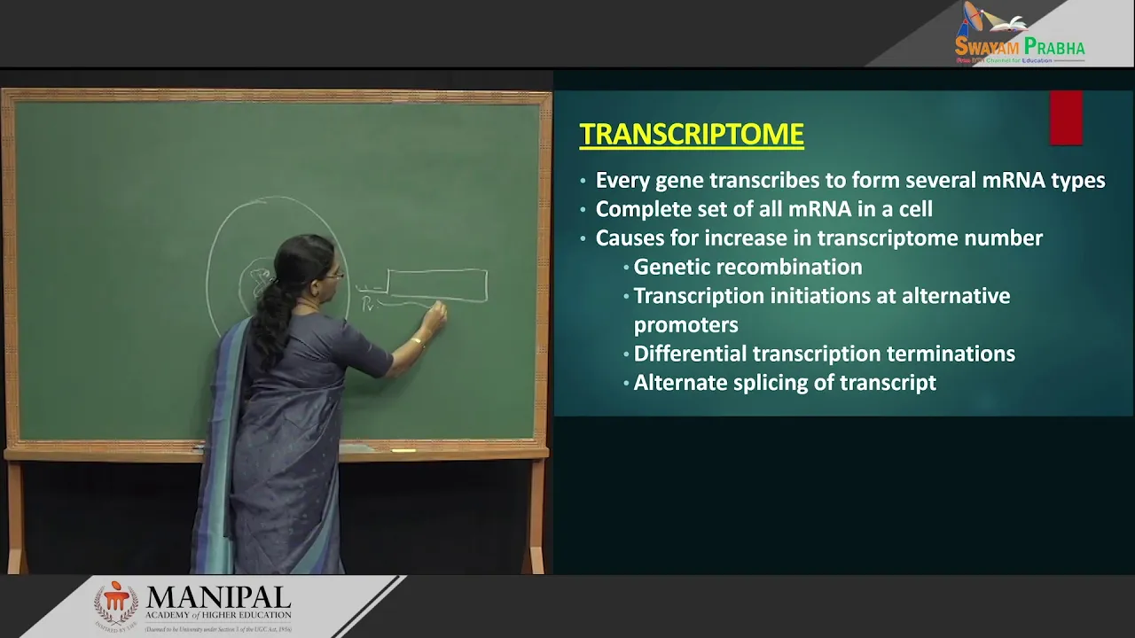 1.11 Post translational modifications