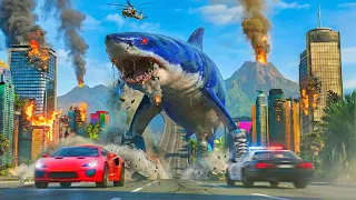 Shark Fights in Real Life!