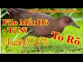 Tiếng Chim Mắt Đỏ, Tí Nỉ... File Không Tạp Âm/