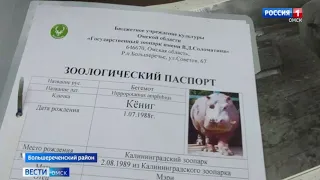 «Вести Омск», дневной эфир от 30 июня 2023 года