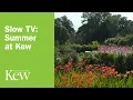 Slow TV Summer at Kew Kew Gardens