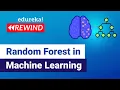Random Forest in Machine Learning Machine Learning Training Edureka Machine Learning Rewind - 3