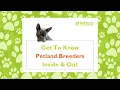 Get to Know Petland Breeders Inside and Out