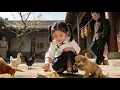 Lagu 【FULL】From Doomed Child Bride to Mansion's Miracle: The Adventures of Lucky Suibao#minidrama