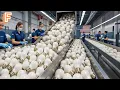 Lagu How Billions of Light Bulbs Are Made Inside Massive Production Lines