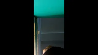 18 sal ki ladki ne kute se banaya sharirik sambandh love story SusajitaMotivational