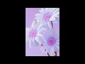 [WRP] Sylo Nozra - FOMO