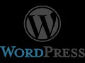 Include css and scripts in header and footer Wordpress