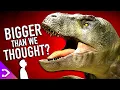 Download Lagu How BIG Was The T-REX REALLY!? (New Discovery)