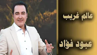 عالم غريب   عبود فؤاد دندنها