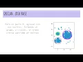 El Algoritmo DBSCAN