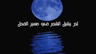 استغاثة محسن الهزاني  دع لذيذ الك رى وانتب ه ث م ص ل دندنها