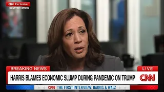Harris brushes off question about Trump's race comments in CNN interview