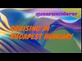 Cruising Gay Budapest Nepliget Park and X Clubs 2026