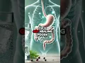 Download Lagu Top 10 Gut-Healing Foods to Improve Digestion and Reduce Bloating! #guthealth #digestivehealth