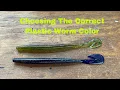 How To Choose The Correct Plastic Worm Colo r