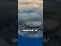Are There UFOs Living in the Ocean