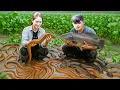 Download Lagu Harvesting lots of Eels \u0026 giant Fish hiding in the mud to sell, Swamp survival skills