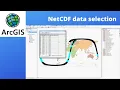 ArcGIS tips NetCDF data selection