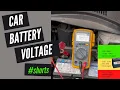 Download Lagu What Voltage Should Car Battery Be?!