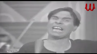                                   عمر الجيزاوي   دبور قرصني دندنها