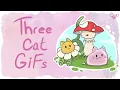 Three cat GIFs Animation