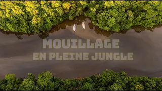 Entre Crocodiles et Toucans, la Jungle nous appelle…
