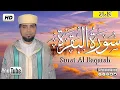 Download Lagu تلاوة تهتز لها القلوب سورة البقرة  محمد زهير Surat Al Baqarah