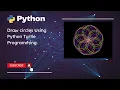 Draw Circle Python Turtle Code virtual - code