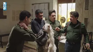 ليف لوف معزاية 