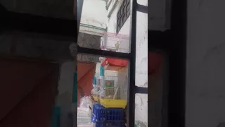 تجاوب الفيشر مع الفوربس 