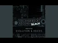 Download Lagu Evolution