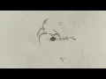 Birdy - New Moon Visualiser