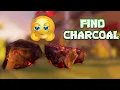 WHERE TO FIND CHARCOAL CHUNKS IN GROUNDED