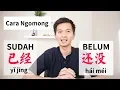 Download Lagu L18 Grammar Sudah Belum Belajar Bahasa Mandarin 已经 了 还没有 已經 了 還沒有