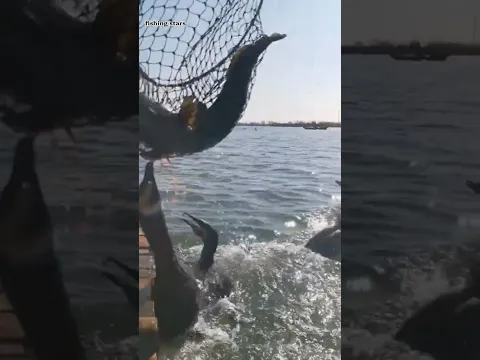 fish 🐠 fishing #fishing